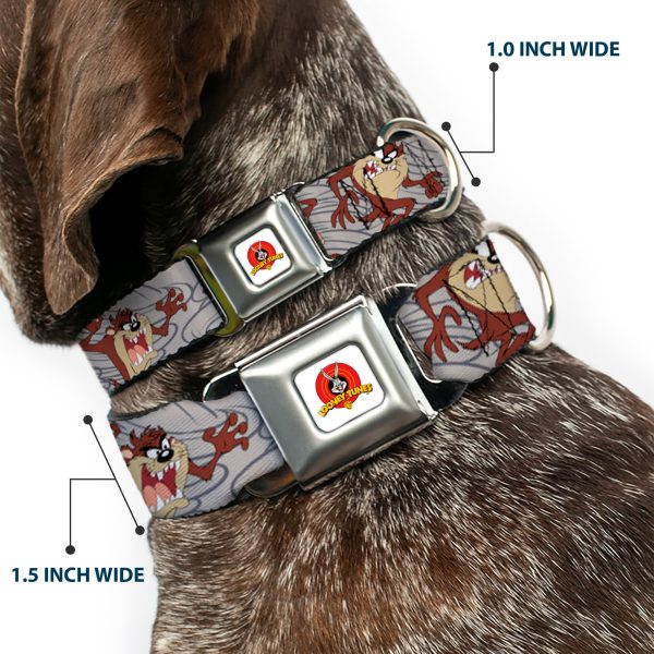 Looney Tunes Logo Full Color White Seatbelt Buckle Collar - Tasmanian Devil Expressions Gray Swirl on Sale - Image 2