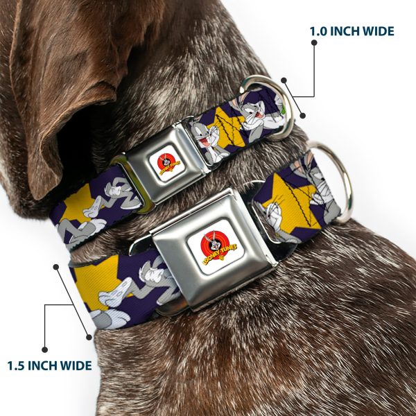 Looney Tunes Logo Full Color White Seatbelt Buckle Collar - Bugs Bunny Poses Stars Navy For Sale - Image 2